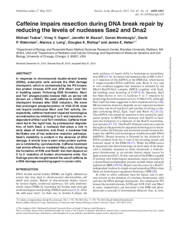 (PDF) Caffeine impairs resection during DNA break repair by reducing ...