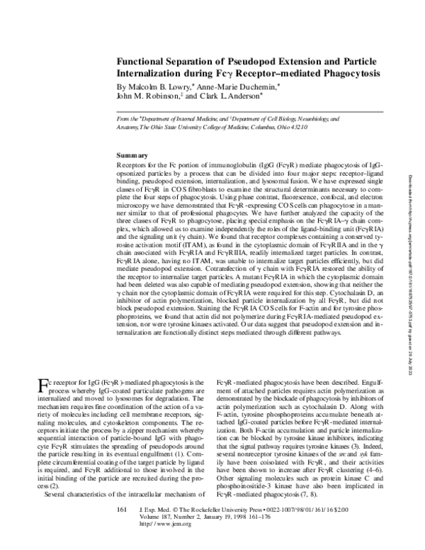 (PDF) Functional Separation of Pseudopod Extension and Particle ...