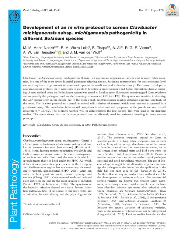 (PDF) Development of an in vitro protocol to screen Clavibacter ...