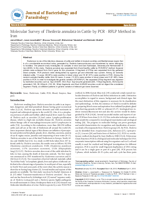 (PDF) Molecular Survey of Theileria annulata in Cattle by PCR - RFLP ...
