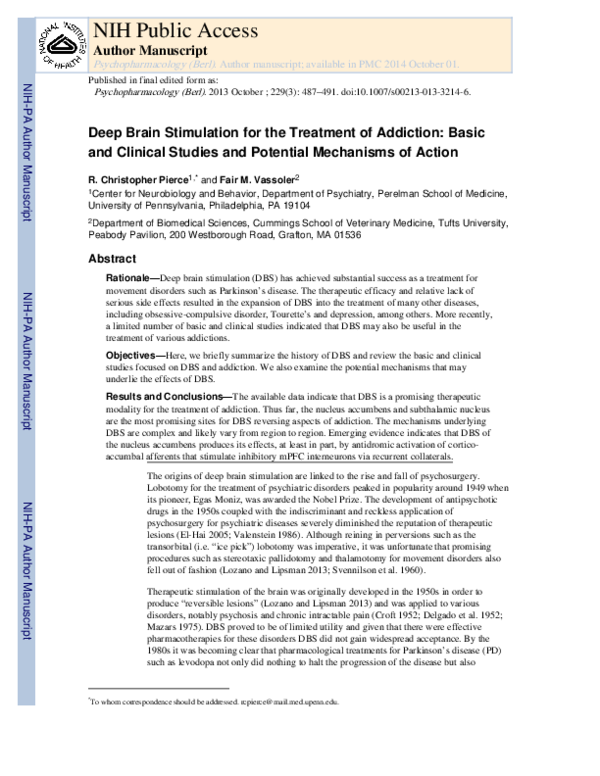 (PDF) Deep brain stimulation for the treatment of addiction: basic and ...
