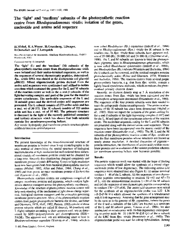 (PDF) The ‘light’ and ‘medium’ subunits of the photosynthetic reaction ...