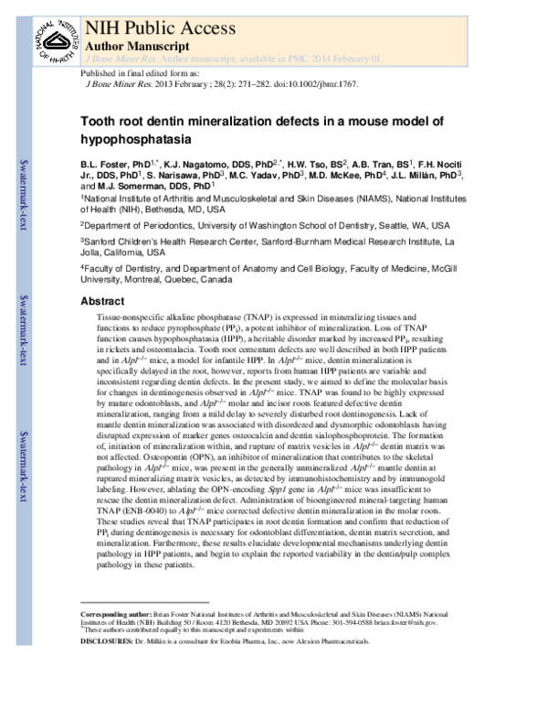 (PDF) Tooth root dentin mineralization defects in a mouse model of ...