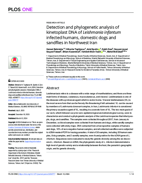 (PDF) Detection and phylogenetic analysis of kinetoplast DNA of ...