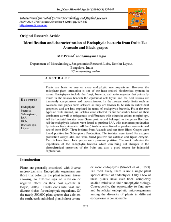 (PDF) Identification and characterization of Endophytic bacteria from ...