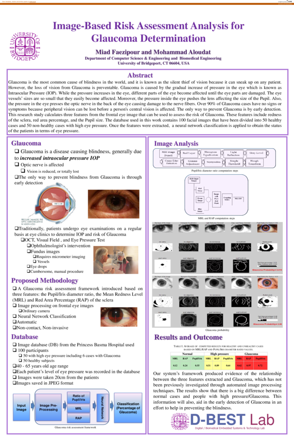 (PDF) Image-Based Risk Assessment Analysis for Glaucoma Determination