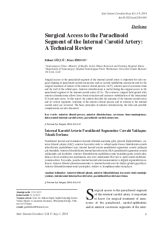(PDF) Surgical Access to the Paraclinoid Segment of the Internal ...