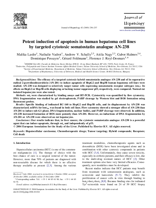 (PDF) Potent induction of apoptosis in human hepatoma cell lines by ...