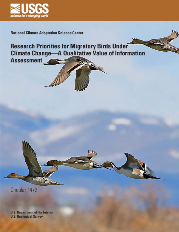 (PDF) Research priorities for migratory birds under climate change—A ...