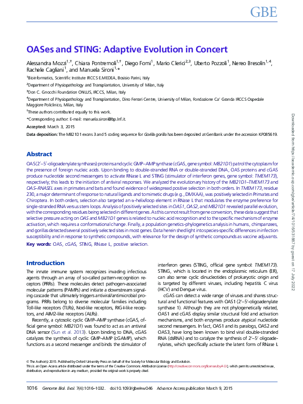 (PDF) OASes and STING: adaptive evolution in concert