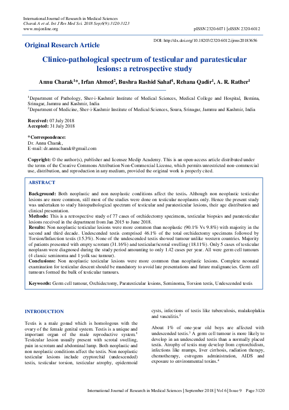 (PDF) Clinico-pathological spectrum of testicular and paratesticular ...