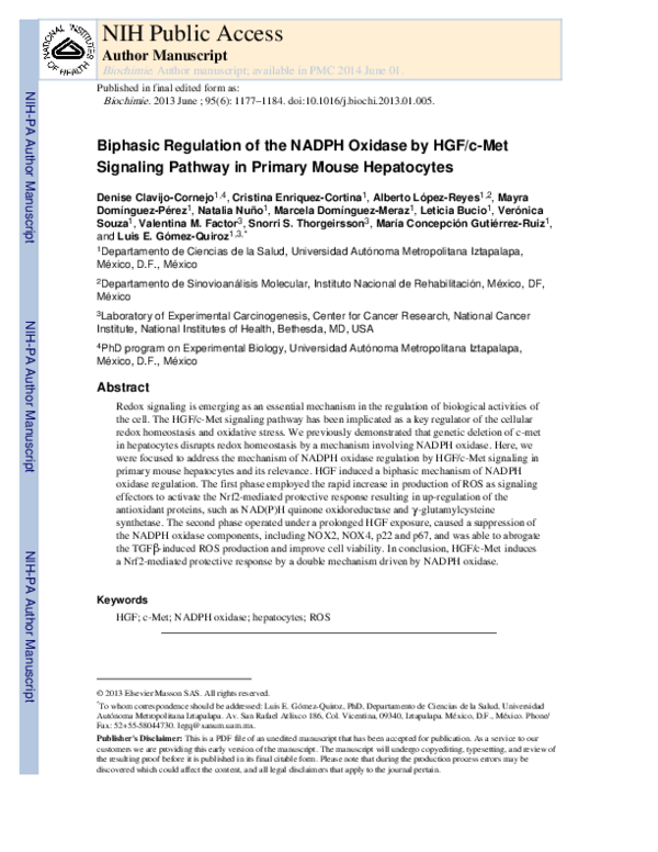 (PDF) Biphasic regulation of the NADPH oxidase by HGF/c-Met signaling ...
