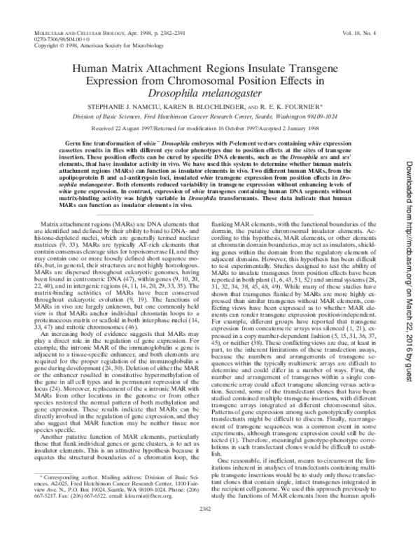 (PDF) Human Matrix Attachment Regions Insulate Transgene Expression ...