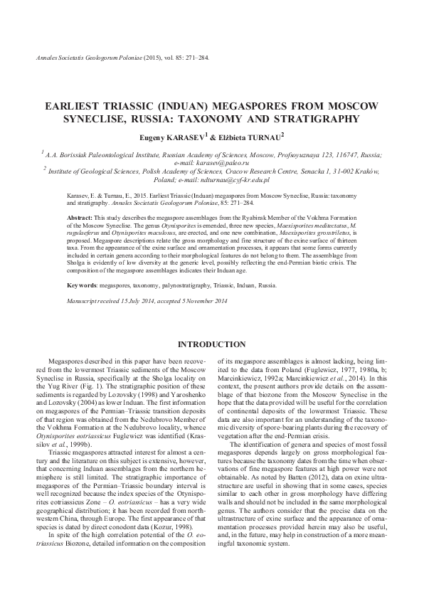 (PDF) Earliest Triassic (Induan) megaspores from Moscow Syneclise ...