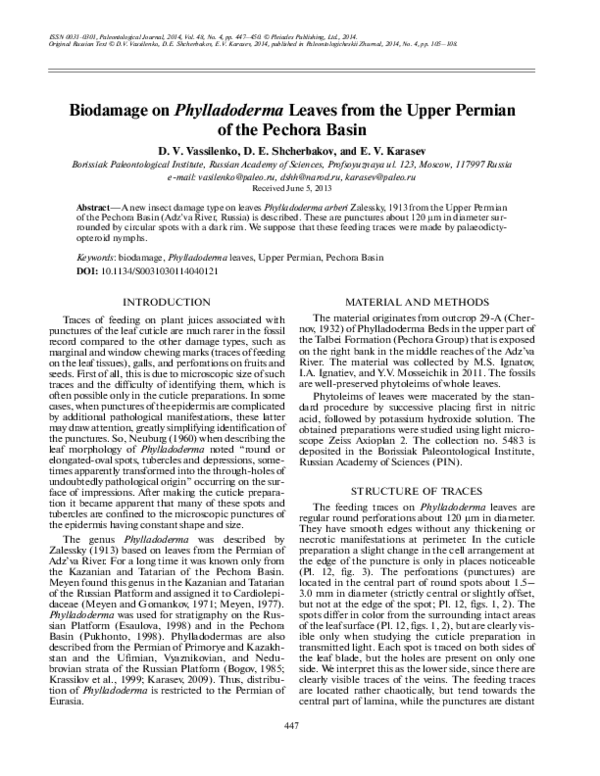 (PDF) Biodamage on Phylladoderma leaves from the Upper Permian of the ...