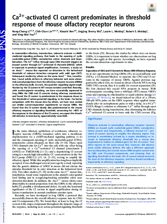 (PDF) Ca 2+ -activated Cl current predominates in threshold response of ...