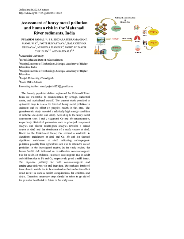 (PDF) Assessment of heavy metal pollution and human risk in the ...