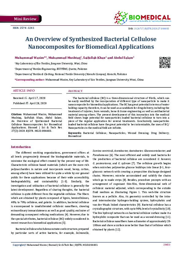 (PDF) An Overview of Synthesized Bacterial Cellulose Nanocomposites for ...