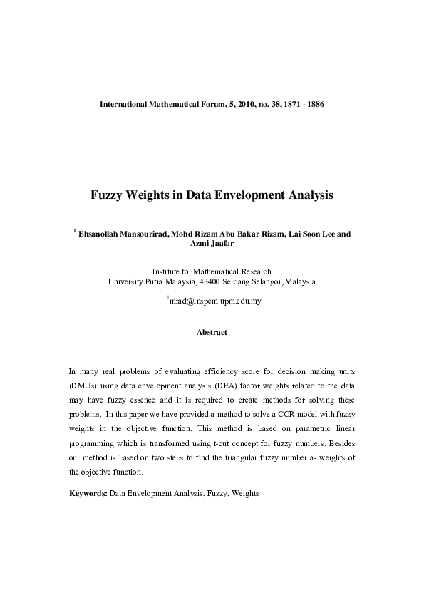 (PDF) Fuzzy Weights in Data Envelopment Analysis