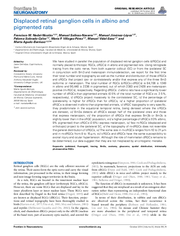 (PDF) Displaced retinal ganglion cells in albino and pigmented rats ...
