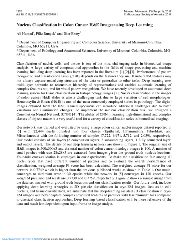 (PDF) Nucleus Classification in Colon Cancer H&E Images using Deep Learning