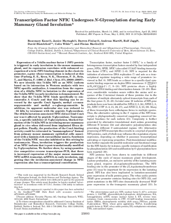 (PDF) Transcription Factor NFIC Undergoes N-Glycosylation during Early ...