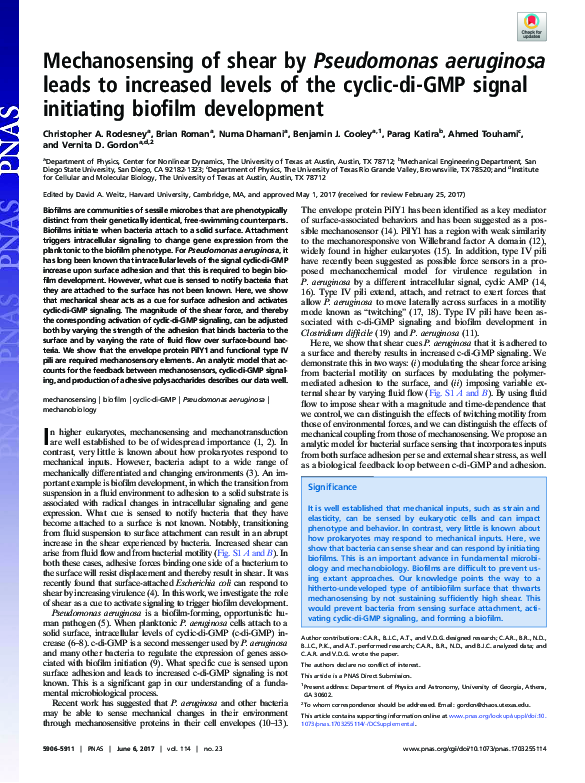 (PDF) Mechanosensing of shear by Pseudomonas aeruginosa leads to ...