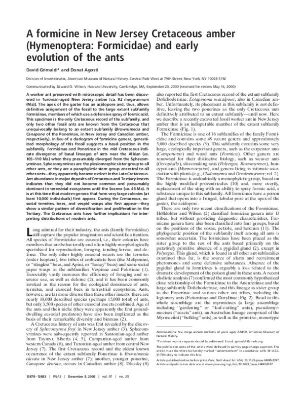 (PDF) A formicine in New Jersey Cretaceous amber (Hymenoptera ...