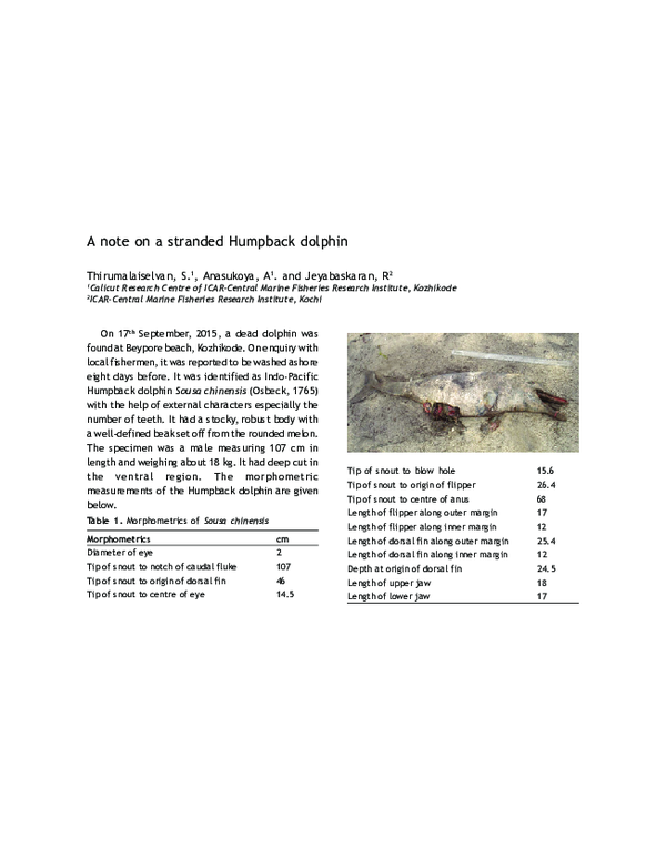 (PDF) A note on a stranded Humpback dolphin