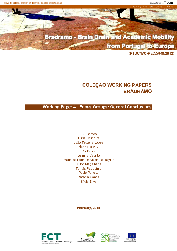 (PDF) Working paper 4: focus groups: general conclusions