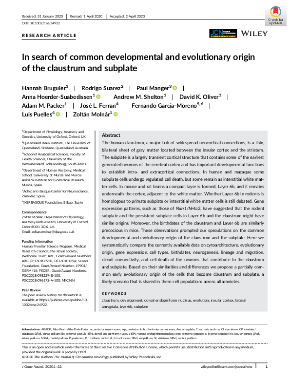 (PDF) In search of common developmental and evolutionary origin of the ...