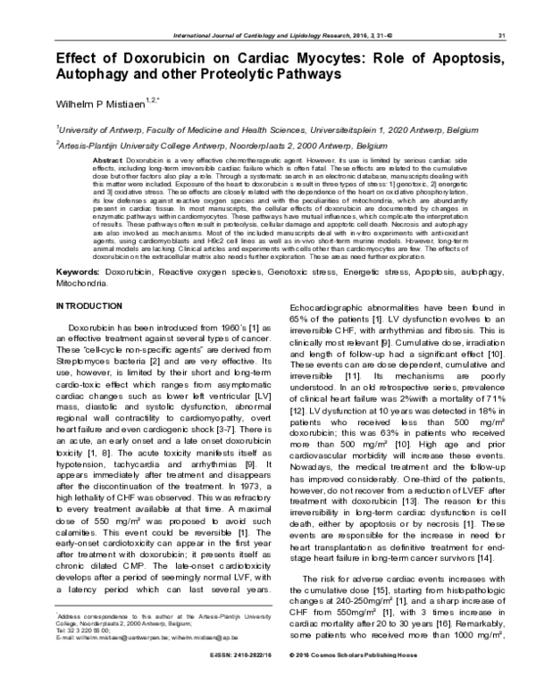 (PDF) Effect of Doxorubicin on Cardiac Myocytes: Role of Apoptosis ...
