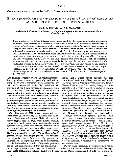 (PDF) Electrophoresis of major proteins in stromata of members of the ...