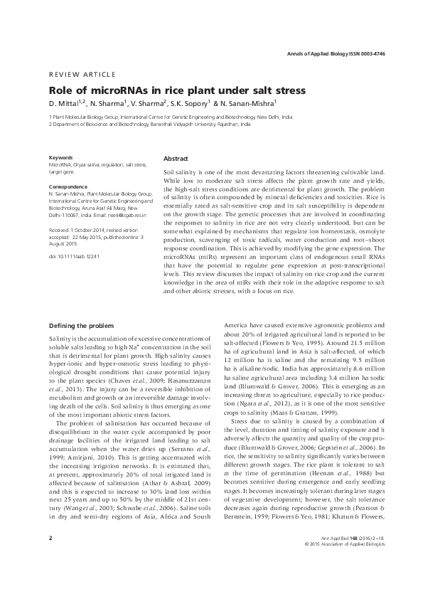 (PDF) Role of microRNAs in rice plant under salt stress