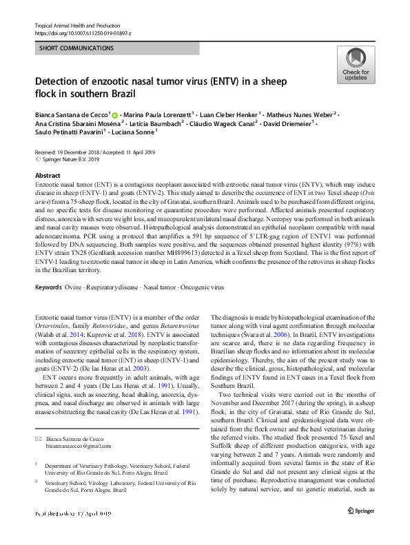 (PDF) Detection of enzootic nasal tumor virus (ENTV) in a sheep flock ...