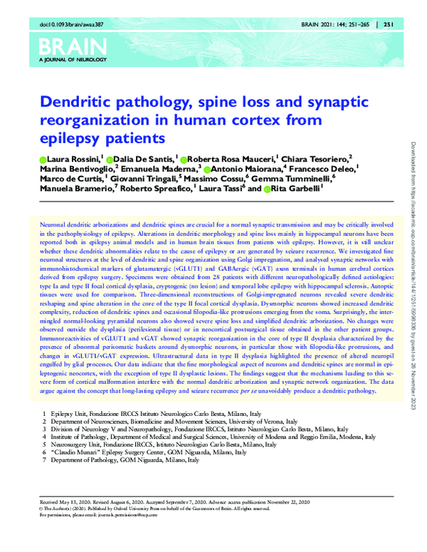(PDF) Dendritic pathology, spine loss and synaptic reorganization in ...