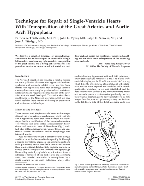 (PDF) Technique for repair of single-ventricle hearts with ...