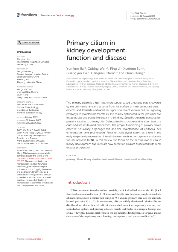 (PDF) Primary cilium in kidney development, function and disease