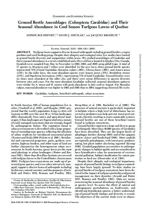 (PDF) Ground Beetle Assemblages (Coleoptera: Carabidae) and Their ...