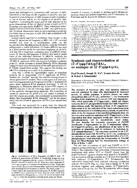 (PDF) Synthesis and characterization of (2′-5′)ppp3′dA(p3′dA)n, an ...