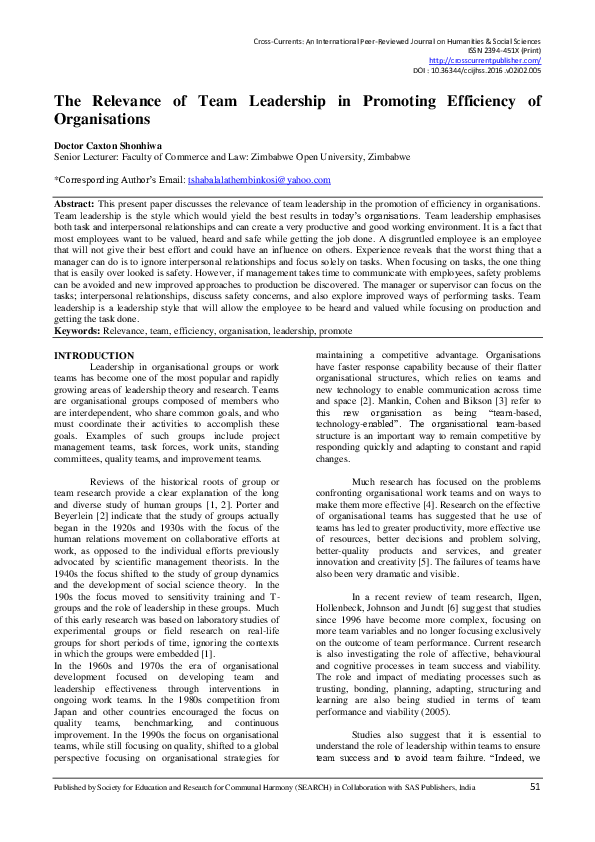 (PDF) The Relevance of Team Leadership in Promoting Efficiency of ...