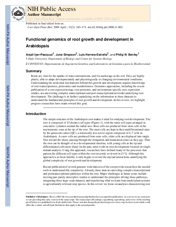 (PDF) Functional genomics of root growth and development in Arabidopsis