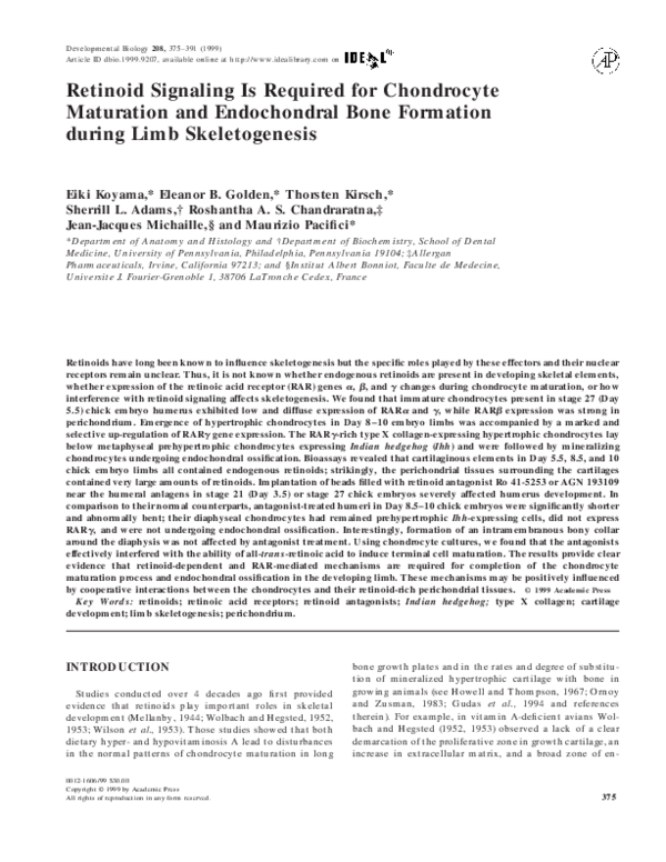 (PDF) Retinoid Signaling Is Required for Chondrocyte Maturation and ...