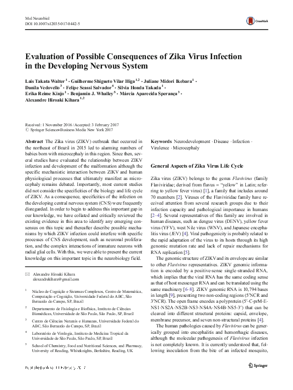 (PDF) Evaluation of Possible Consequences of Zika Virus Infection in ...