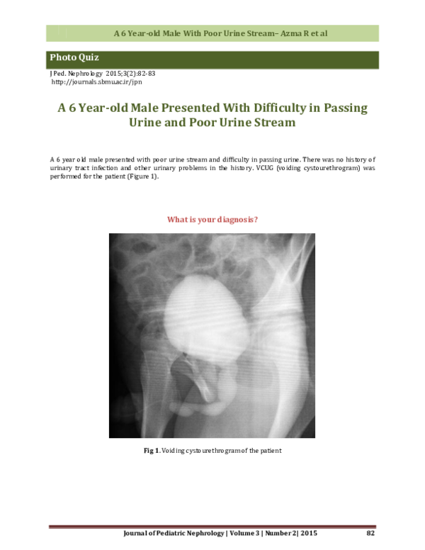 (PDF) A 6 Year-old Male Presented With Difficulty in Passing Urine and ...