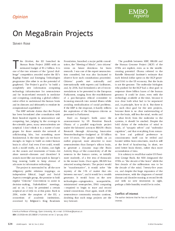 (PDF) On MegaBrain Projects