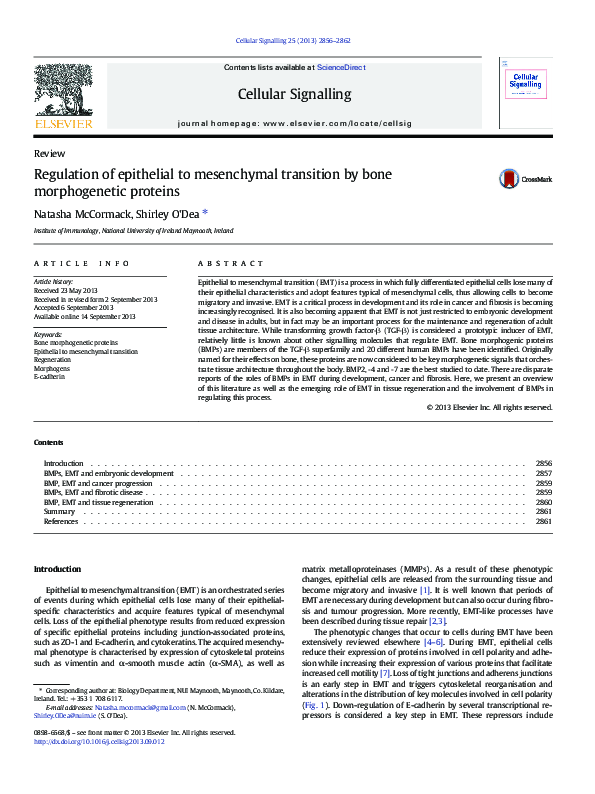 (PDF) Regulation of epithelial to mesenchymal transition by bone ...