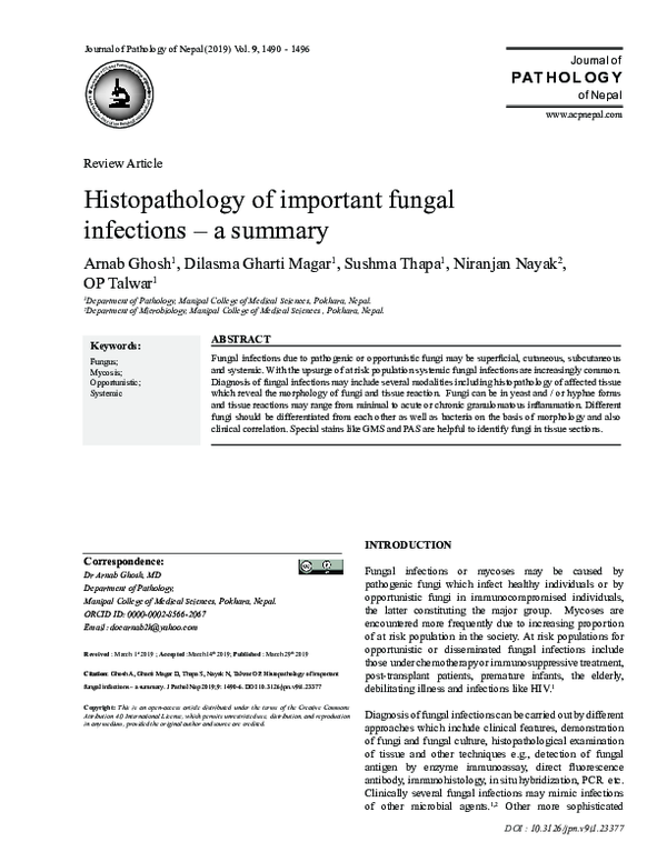 (PDF) Histopathology of important fungal infections – A summary