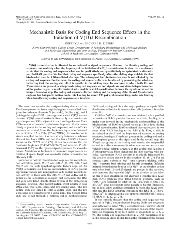 (PDF) Mechanistic Basis for Coding End Sequence Effects in the ...
