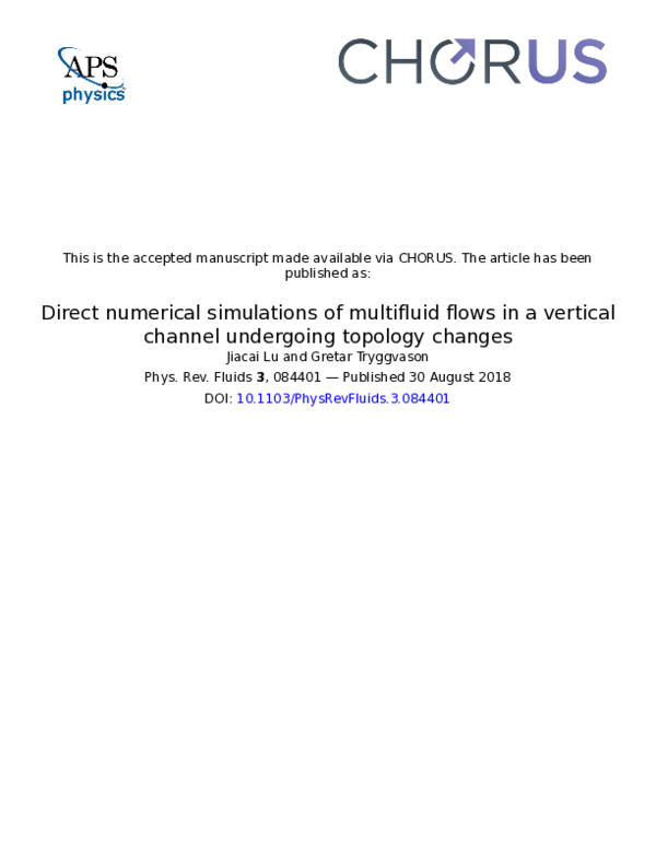 (PDF) Direct numerical simulations of multifluid flows in a vertical ...